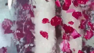 ʕ•̫͡•ʕ*̫͡*ʕ•͓͡•ʔ-̫͡-ʕ•̫͡•ʔ*̫͡*ʔ-̫͡